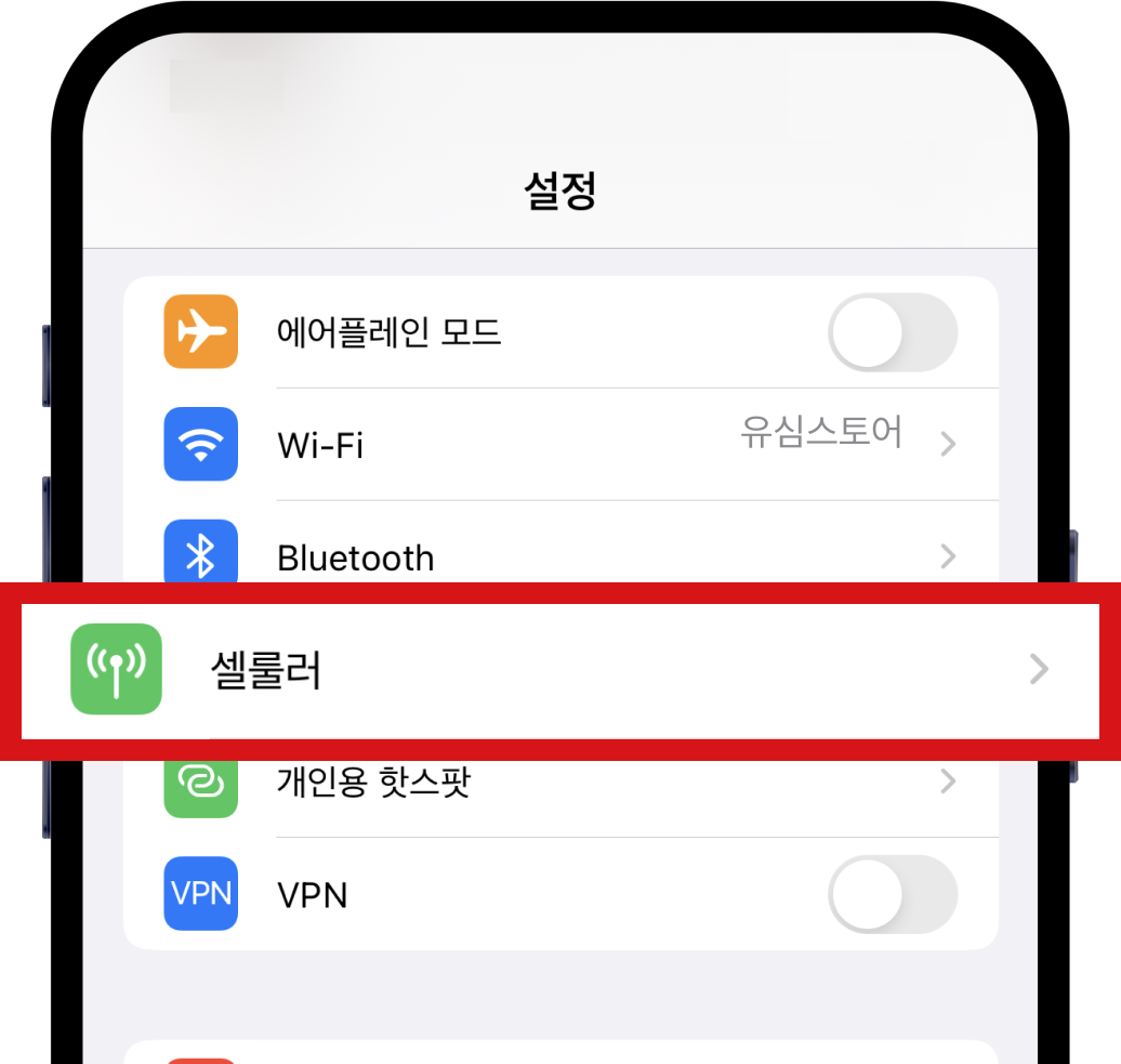 eSIM 안될 시 설정방법