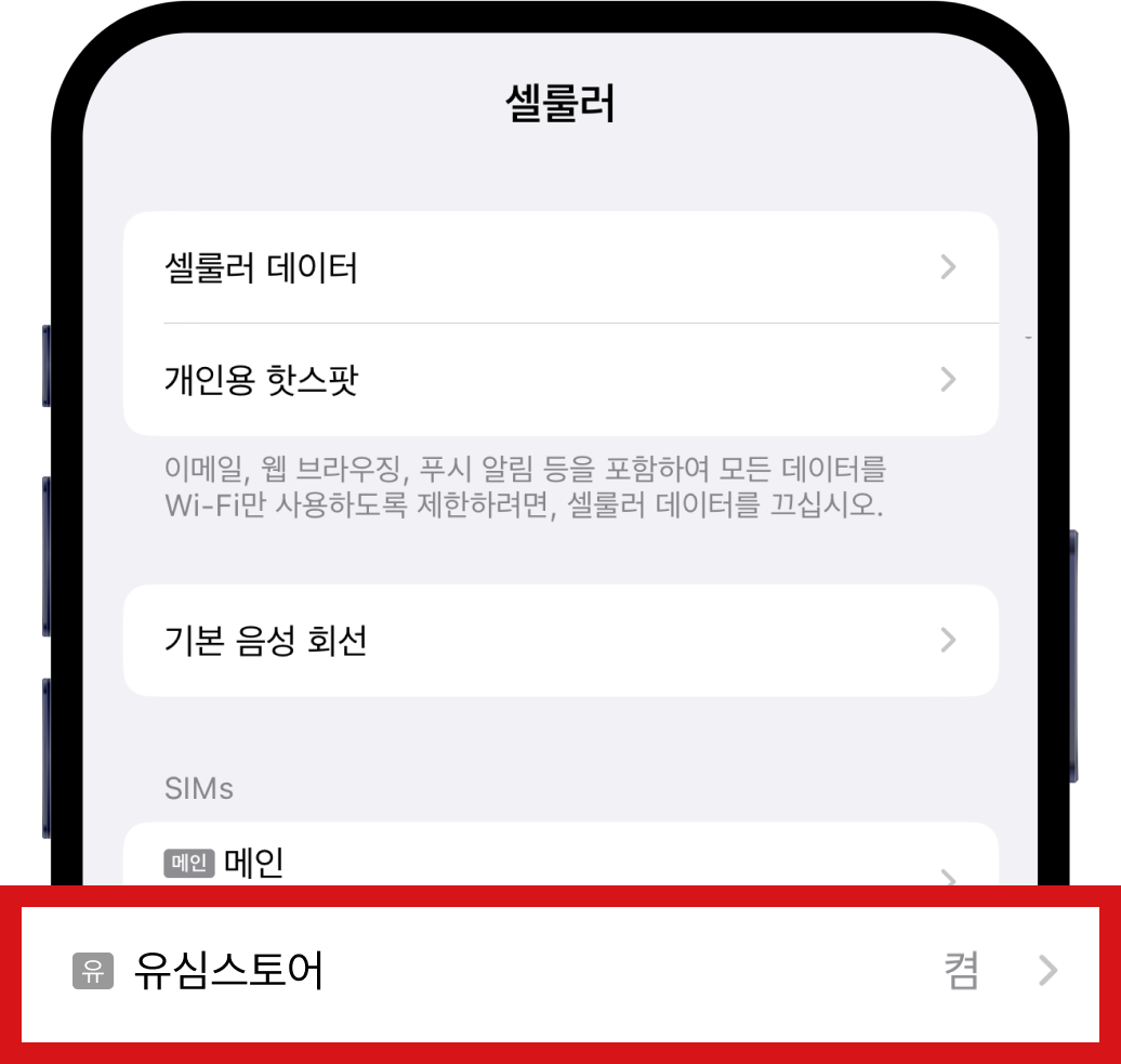 eSIM 안될 시 설정방법